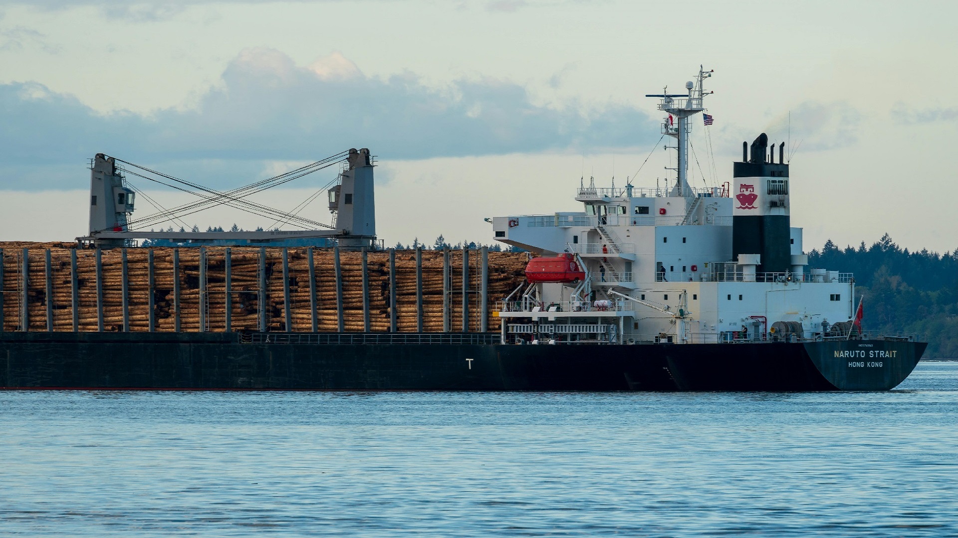 25 years of experience in cargo inspections at West Africa