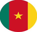 Cameroon flag