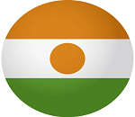 Niger flag