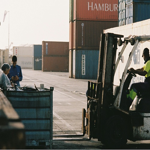 Plans de prévention des pertes - Expertise professionnelle en évaluation des réclamations d'assurance