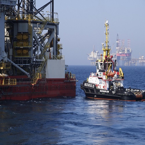 Senior risk management specialist conducting assessment