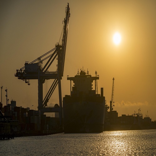 Analyst reviewing data